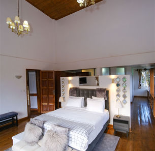 Gallery image 4 of Presidential Suite